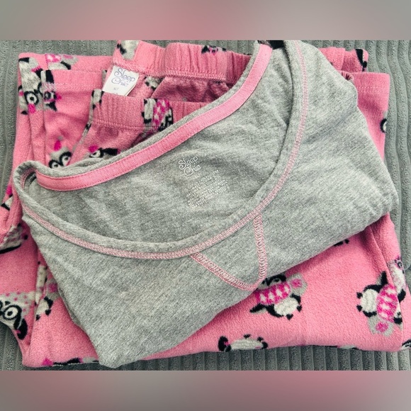 Pajama 2 Piece Set, Gray Scoop-Neck Long Sleeve Paired with Owl Pattern Pants XL - Picture 1 of 4